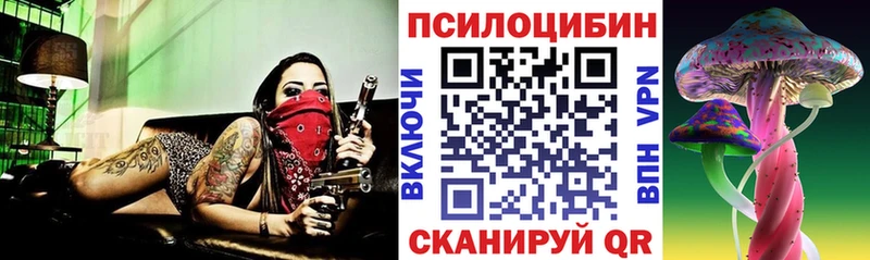 магазин продажи Мостовской Галлюциногенные грибы прущие грибы
